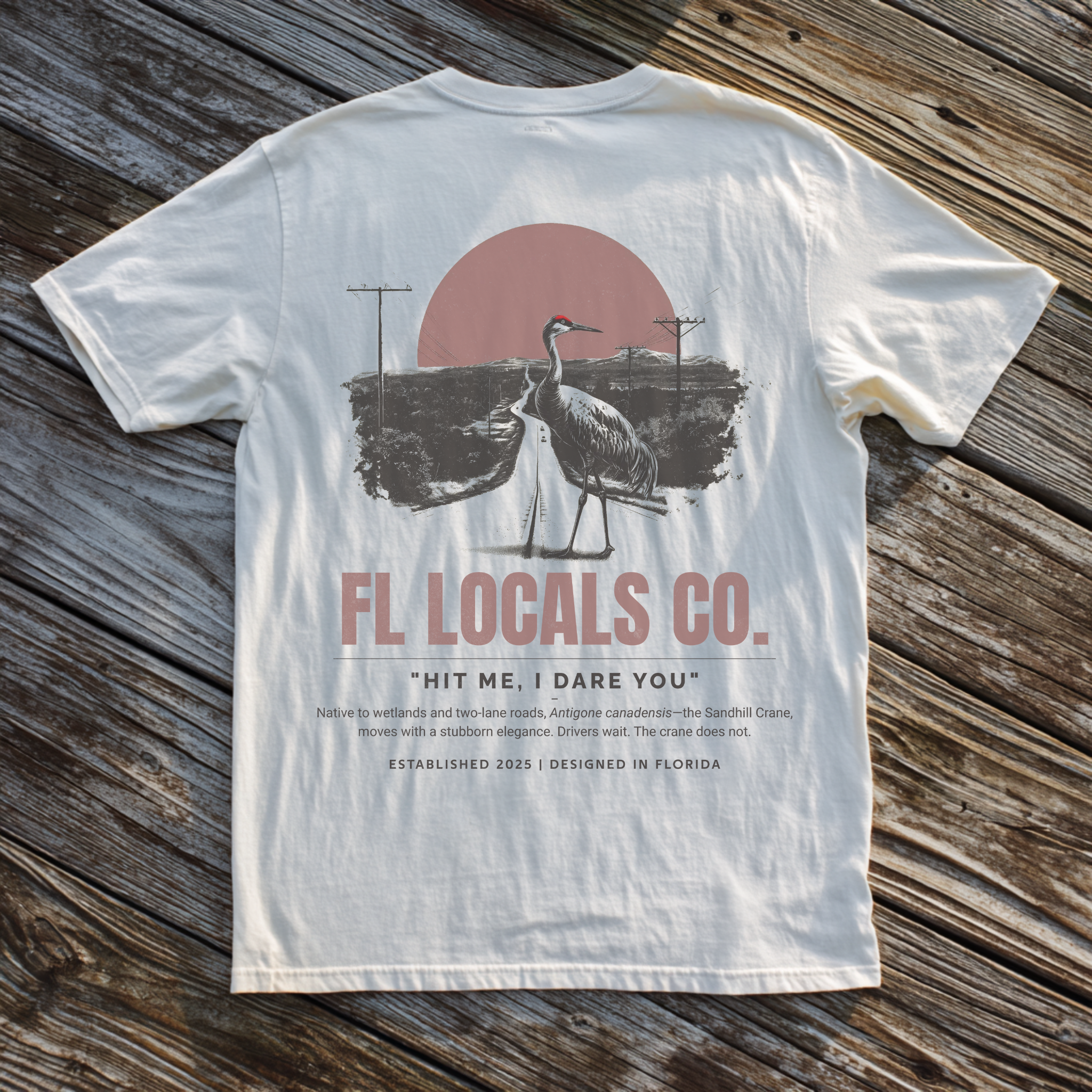 Sandhill Crane | "Hit Me, I Dare You" | FL Locals Co. | Comfort Colors® Vintage Florida Wildlife Tee