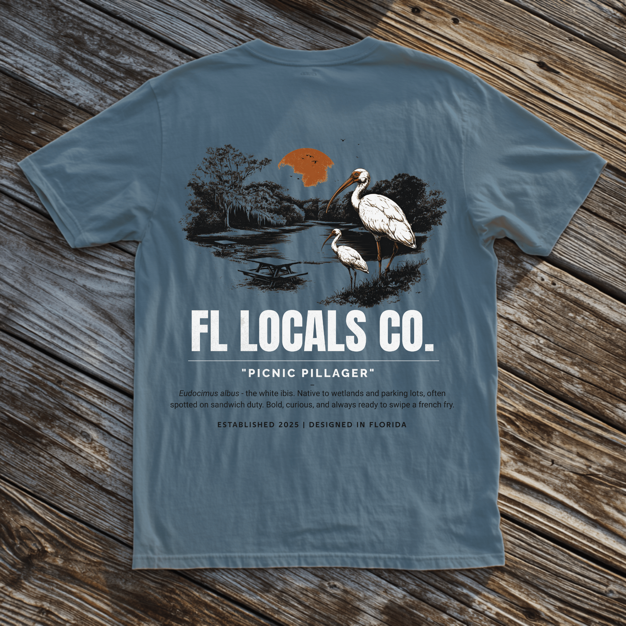 White Ibis | "Picnic Pillagers" | FL Locals Co. | Comfort Colors® Vintage Florida Wildlife Tee - Florida Locals Co.